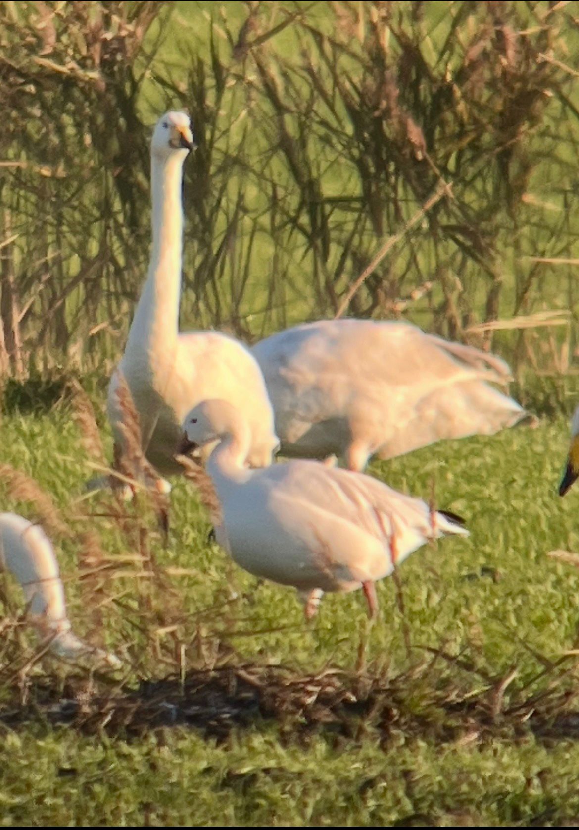 0db06eba a2e6 4a58 ab22 8aba20a24eac