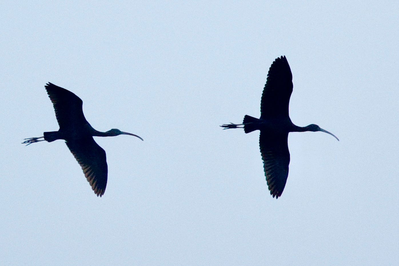 19f3e13d eece 43d9 ace9 7a2158ac8a13