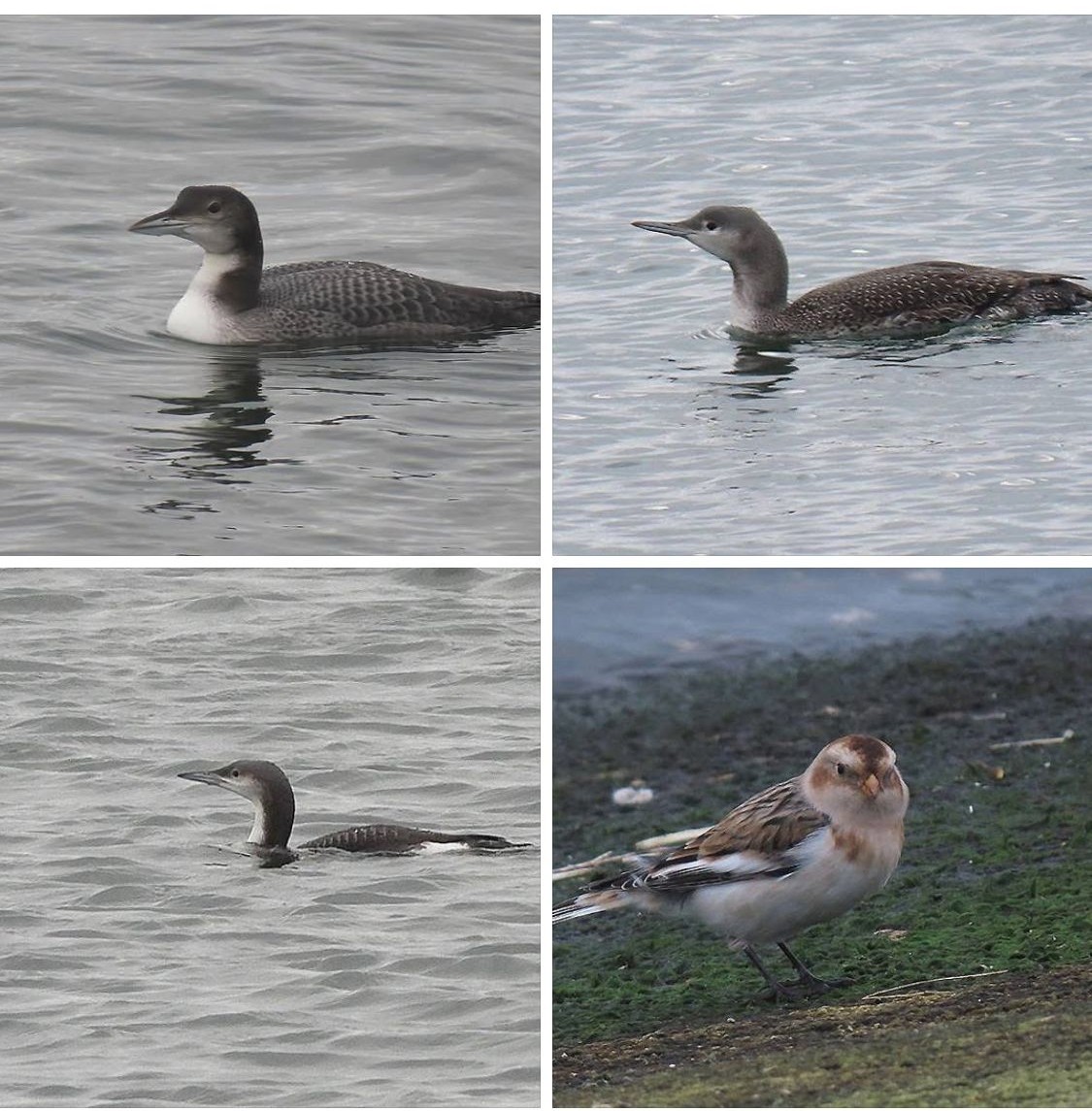 1ac3894c 69b9 4035 9287 8a3580a4cc1c