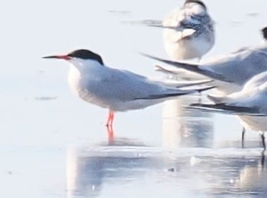 1f1bf662 1c04 47a4 9a9b 36815b4a8b87