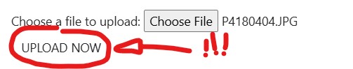 upload-now