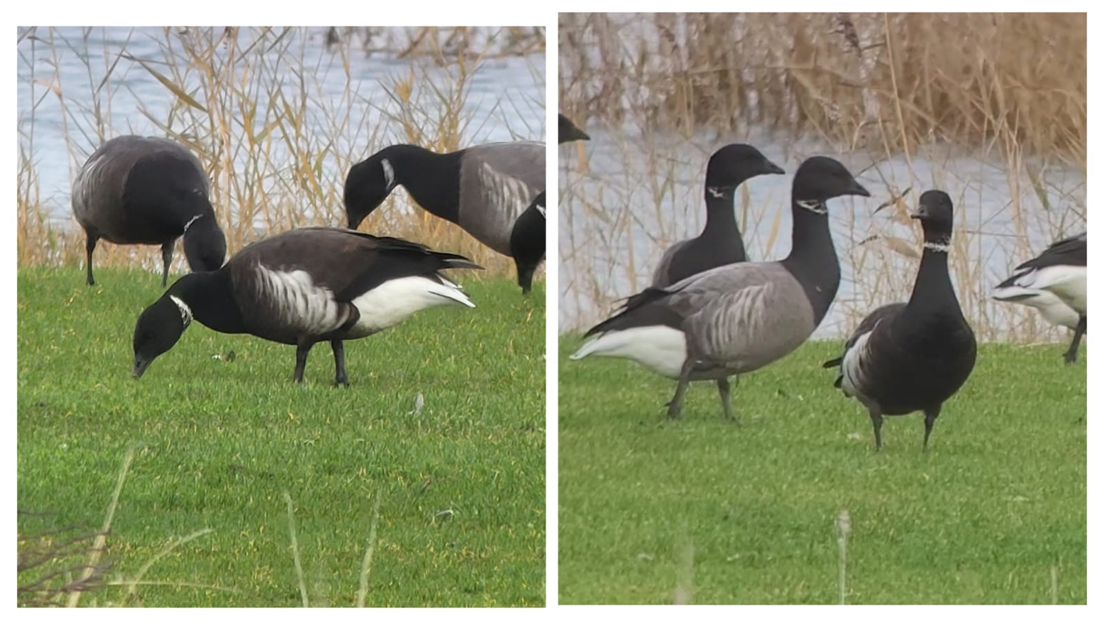 55dd11c5 f5ca 4440 b868 965a19fe3409