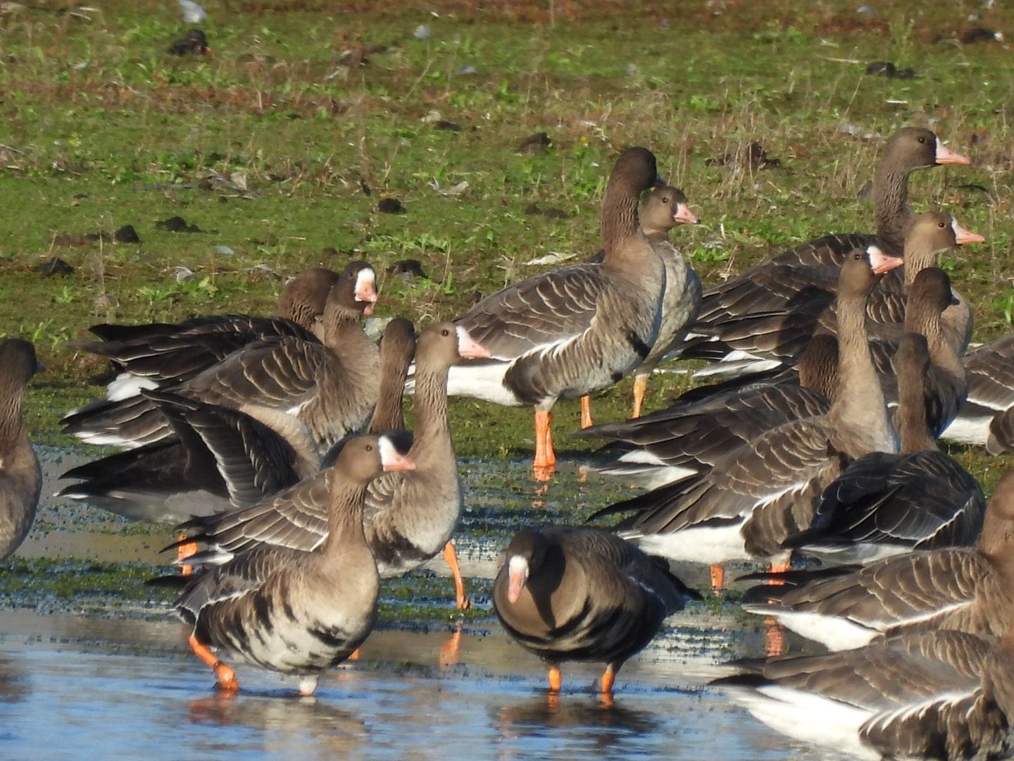 66b5c707 1ec4 4426 ab33 ff4e7a10bc19