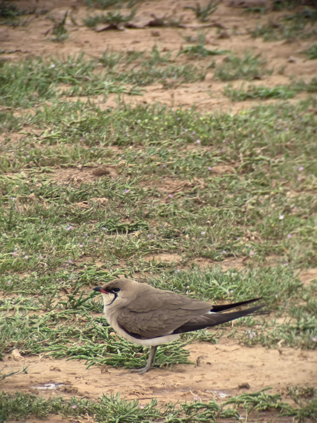 7a851e5d cfd3 4dd9 9b9d e5e53d18195f