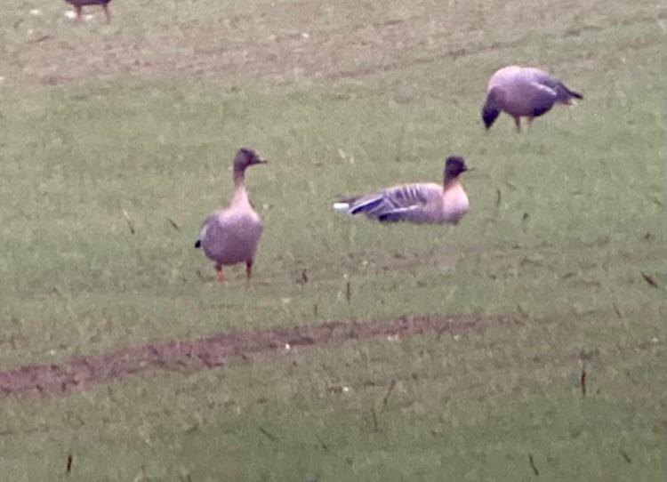 7d038d24 a4d3 4702 918a e5e69f20bab3