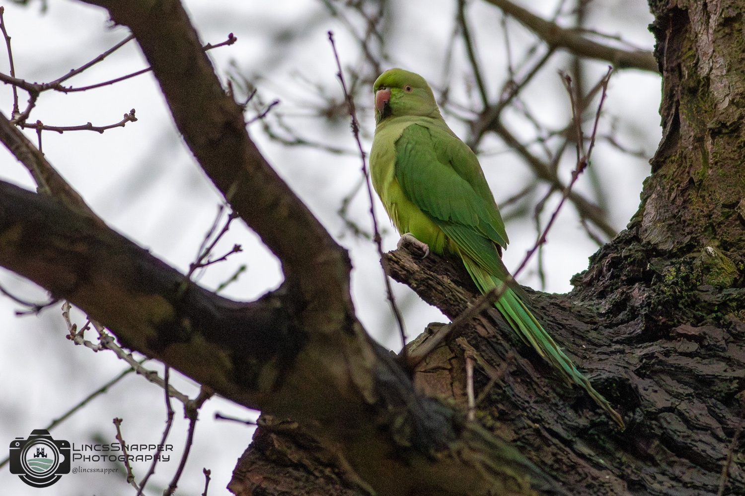 8aab9c72 45ad 449c 816e 227008ad4e17