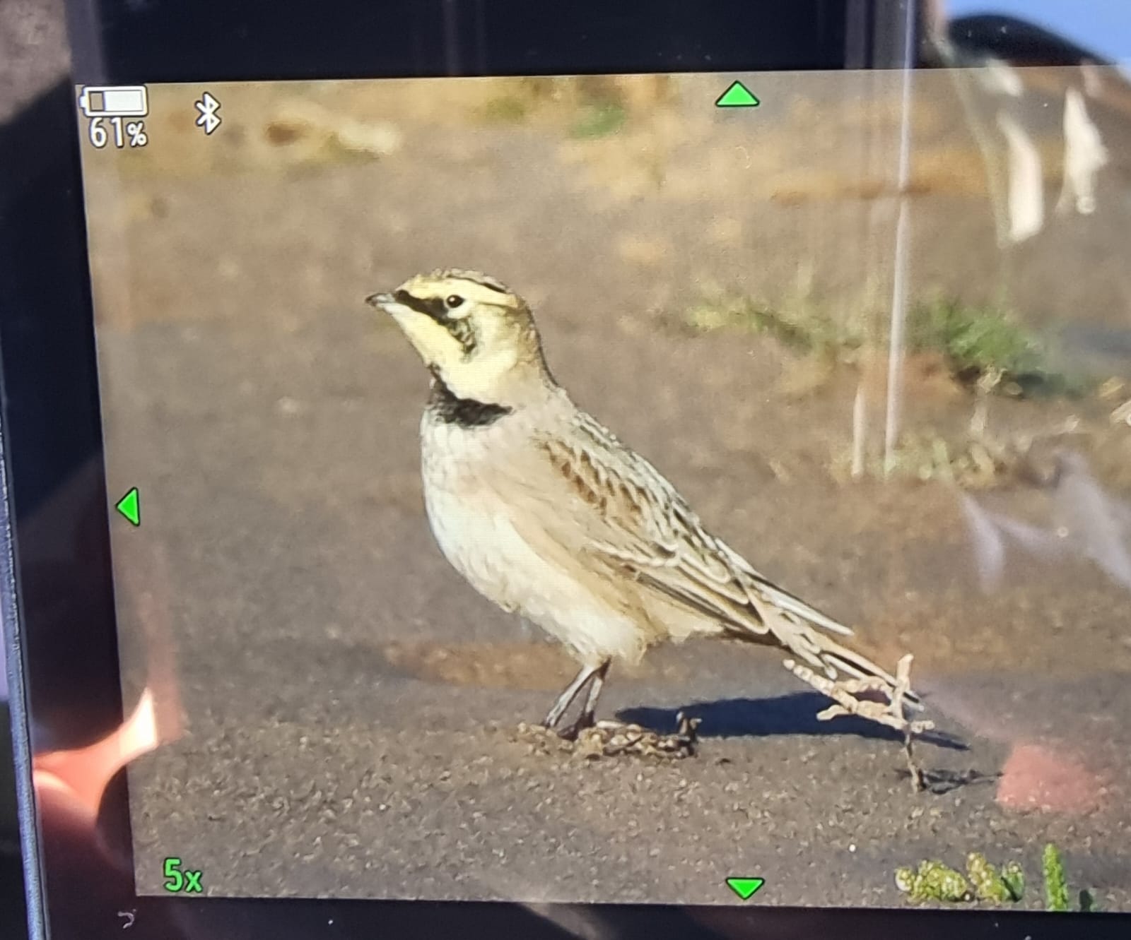 99dcf38a bcac 46bd b51d 1fbe67c42fec