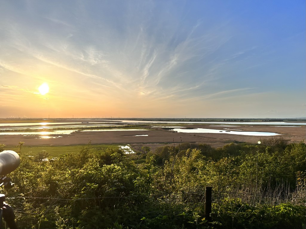 Alkborough Flats. Josh Fusiara. Medium