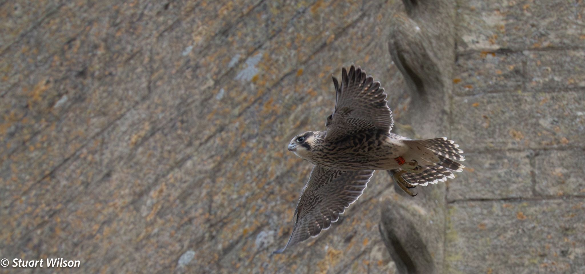 Attachment 335279 772744466.454608