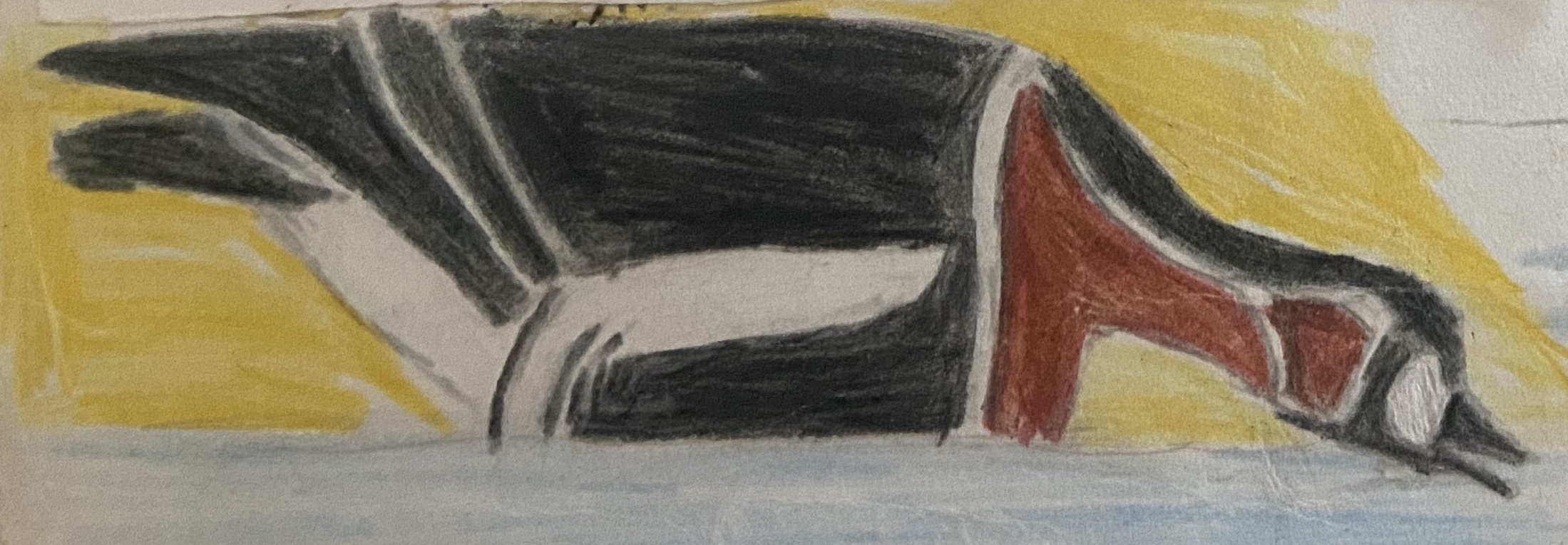 RedBreastedGoose2 011078 Covenham BMClarkson copy