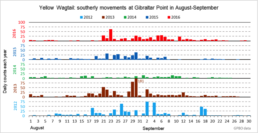 YellowWag GPBO Autumn2012 16