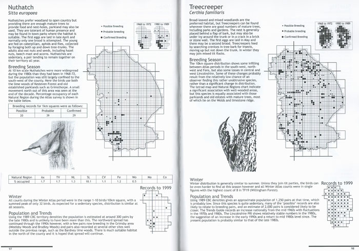 LBC Atlas 2 700px