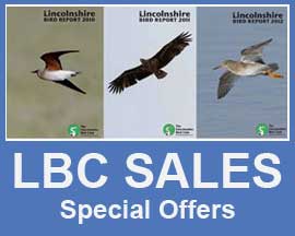 LBC Sales