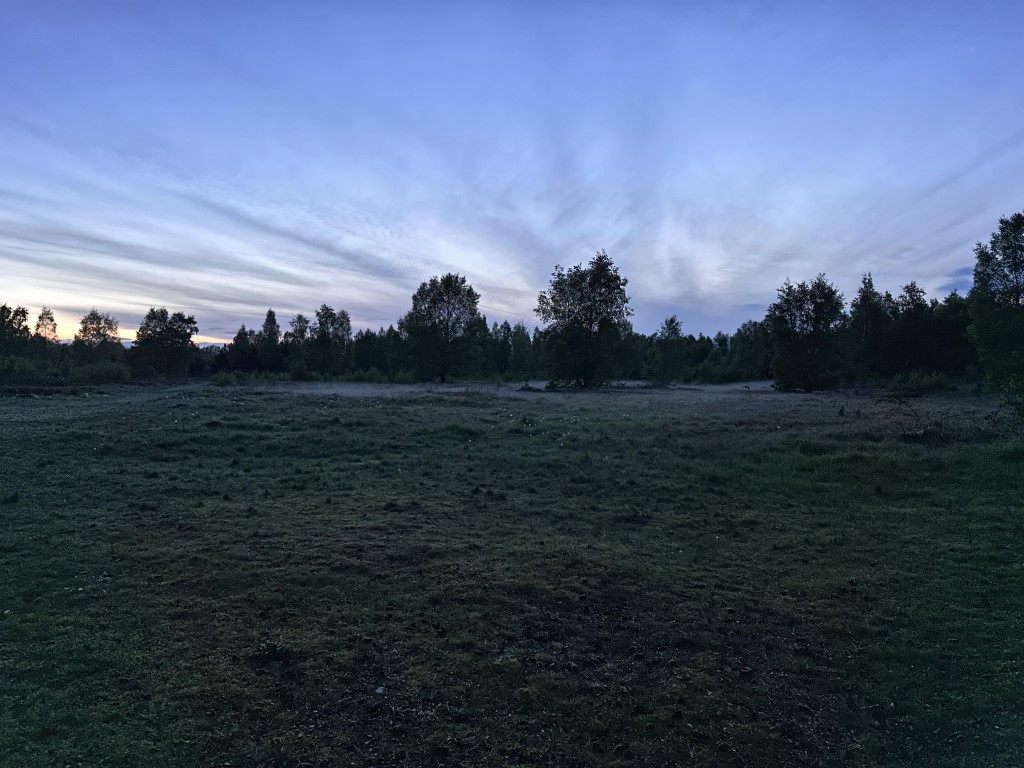 North Lincs heath. Josh Fusiara. Medium