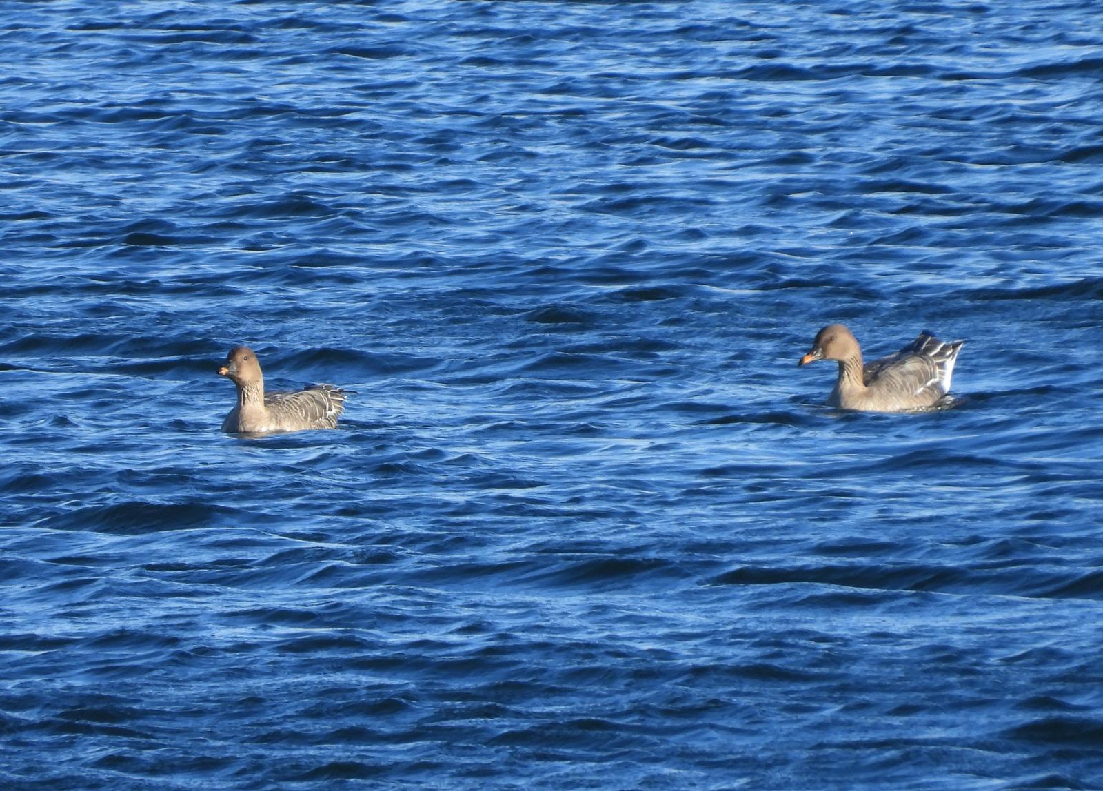 a1ba50e9 ab9b 43ed 8714 10f3684b806b