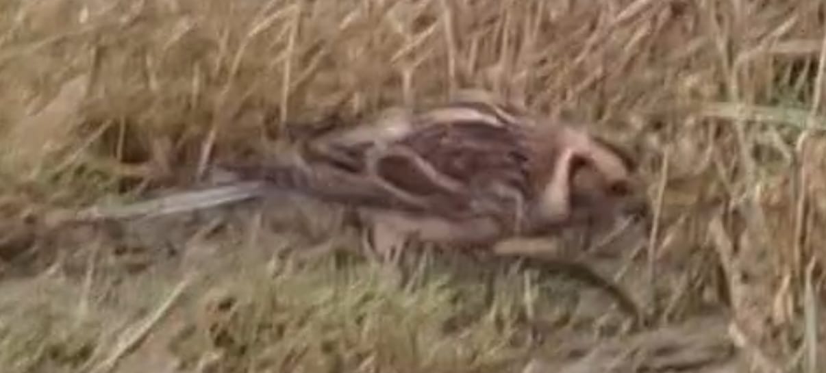 a296f169 58c1 4849 b4ca 2d9bbd3e99c7