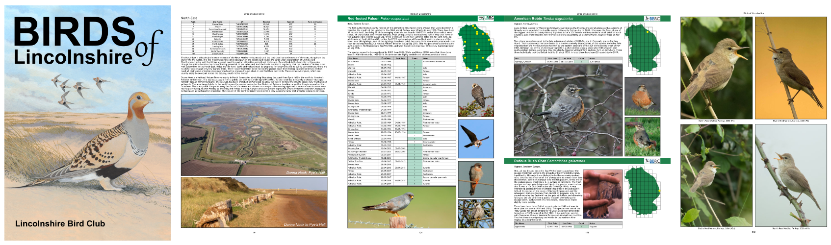 Birds of Lincolnshire