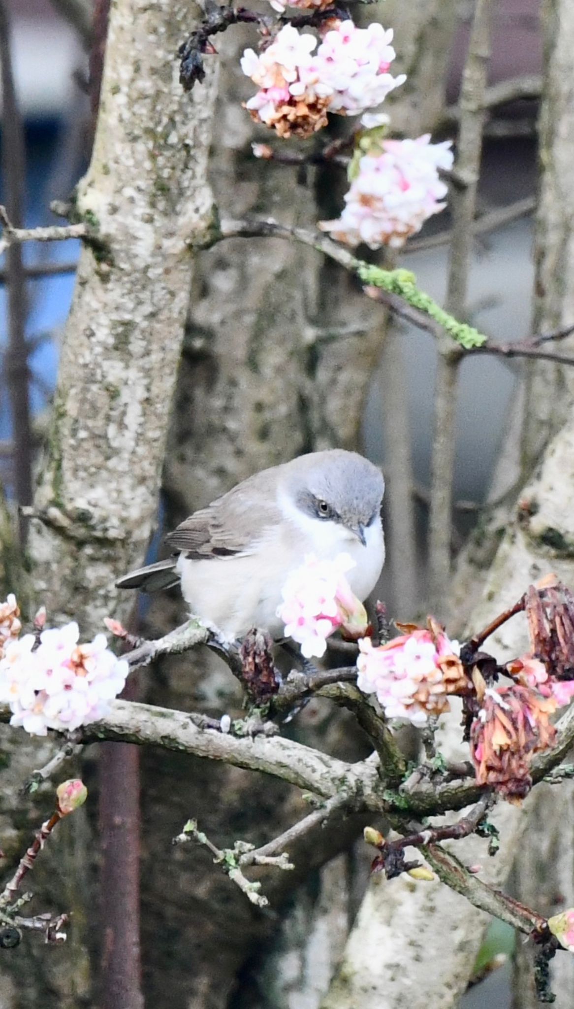 cecc73db 7bb4 4a81 b7e5 ca32bd33cd0f