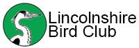 lbc logo