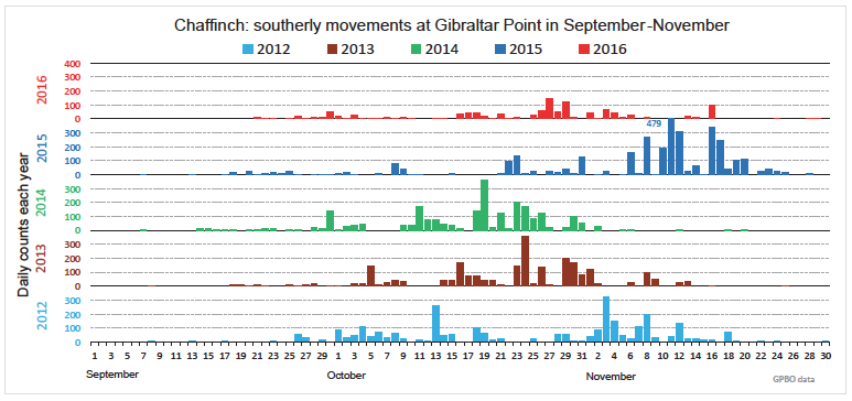 Chaffinch GPBO 2012 16 VisMig