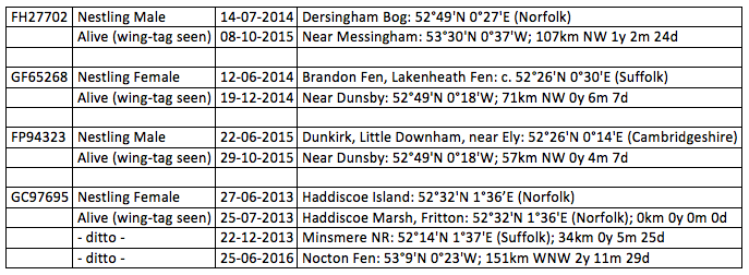 MarshHarrier RingedBirds Table2
