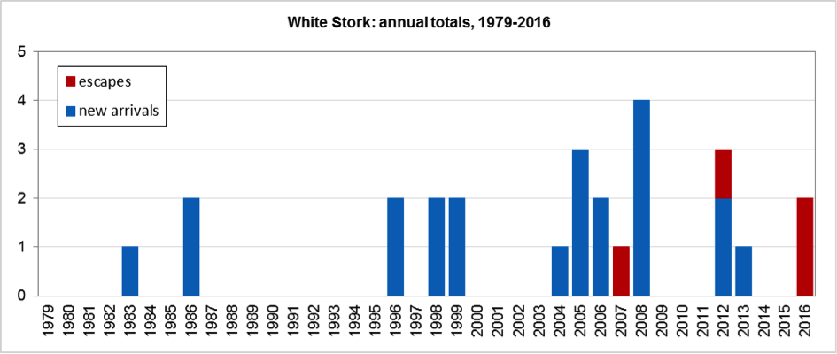 WhiteStorkHisto1