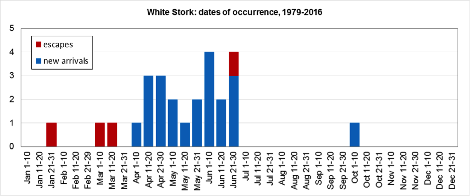 WhiteStorkHisto2